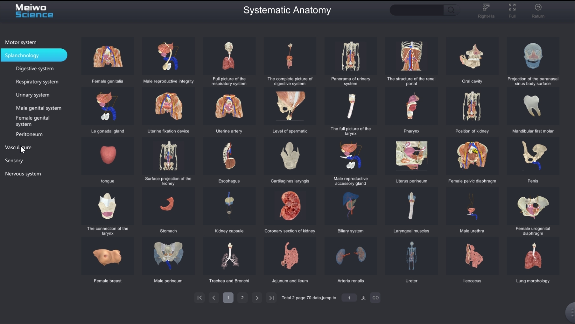 3d system anatomy software