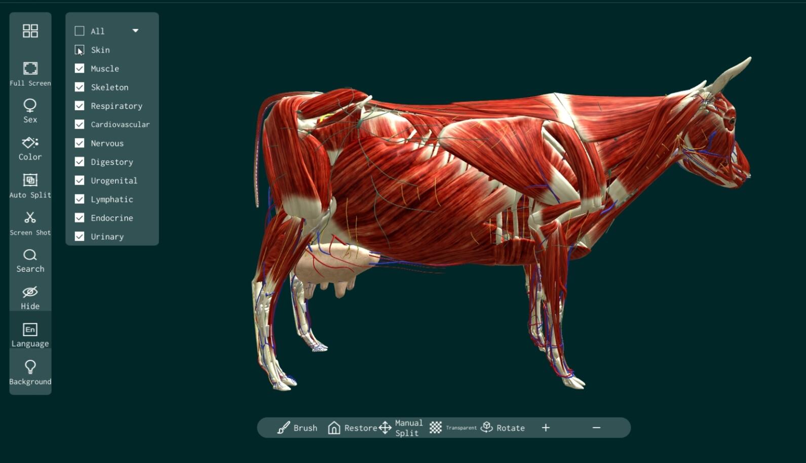 animal anatomy software 