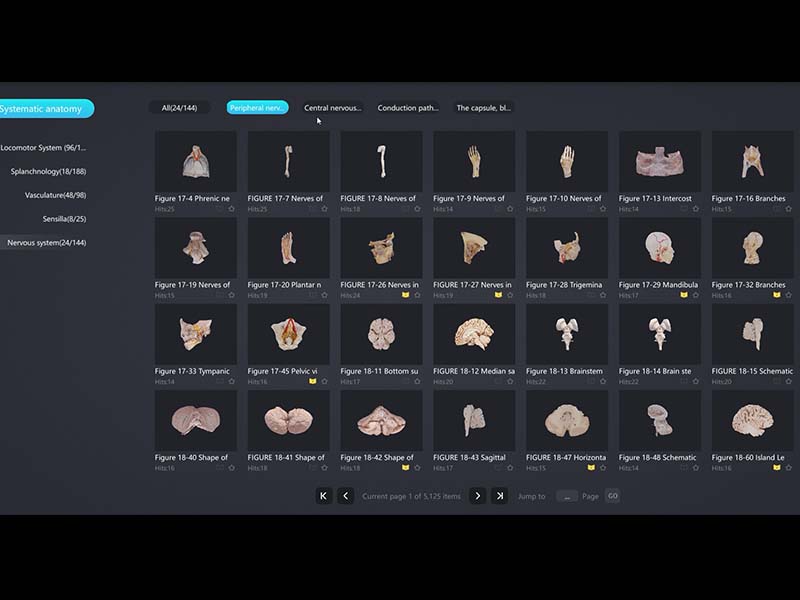 3d human digital specimen database