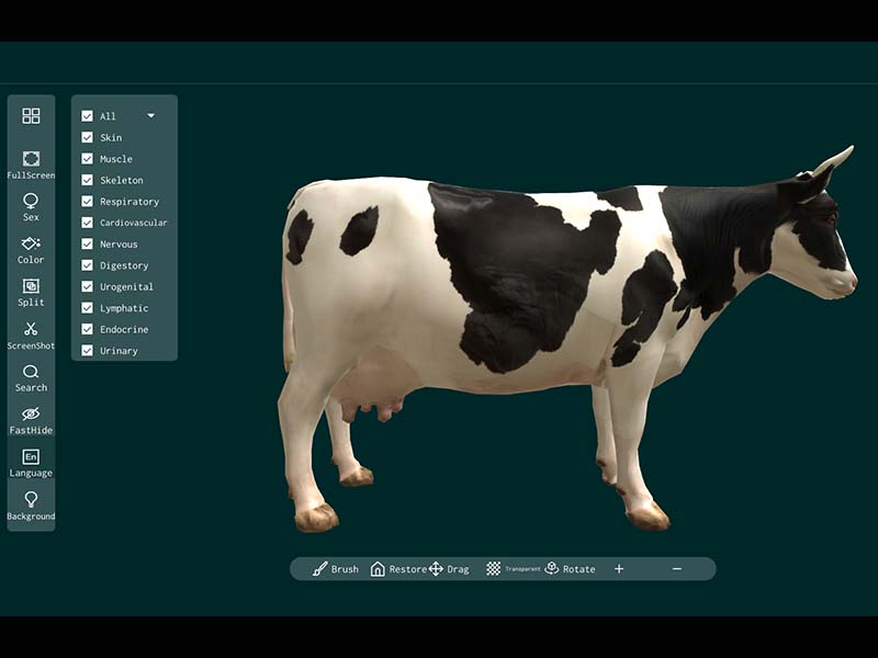 3d animal anatomy software