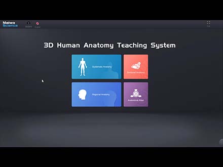 3d human anatomy software