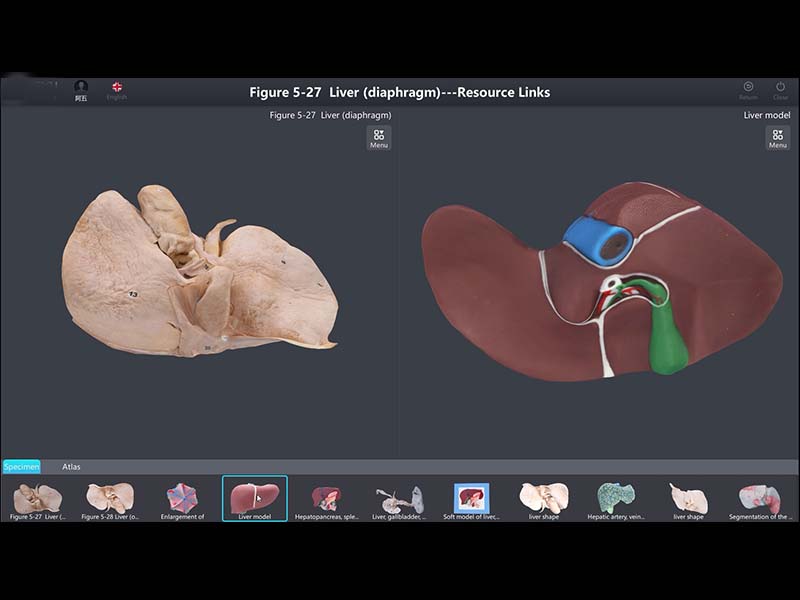 Digital human specimen database