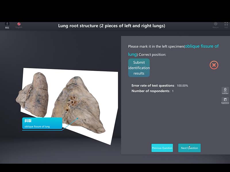 3d digital specimen database for sale