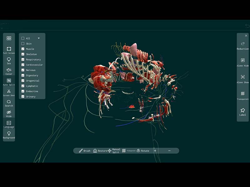 3d animal anatomy software online