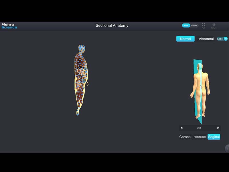 regional anatomy software